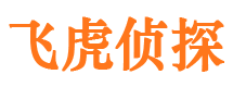 定远寻人公司